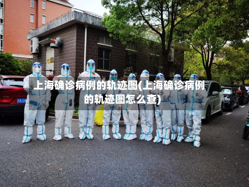 上海确诊病例的轨迹图(上海确诊病例的轨迹图怎么查)