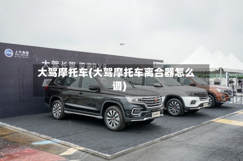 大驾摩托车(大驾摩托车离合器怎么调)-第2张图片
