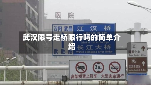 武汉限号走桥限行吗的简单介绍-第2张图片