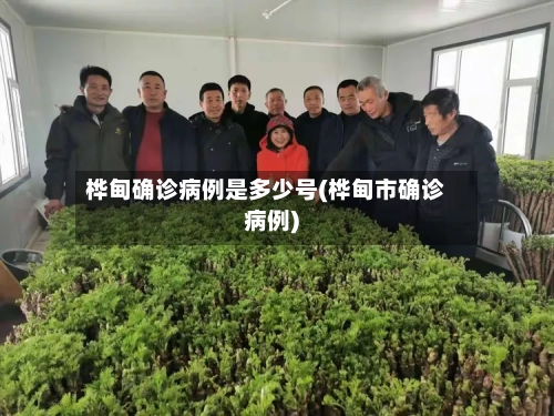 桦甸确诊病例是多少号(桦甸市确诊病例)-第2张图片
