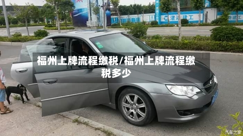 福州上牌流程缴税/福州上牌流程缴税多少-第2张图片