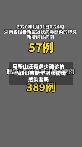 马鞍山还有多少确诊的/马鞍山有新型冠状病毒感染者吗-第3张图片