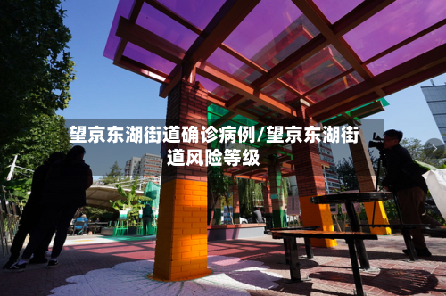 望京东湖街道确诊病例/望京东湖街道风险等级