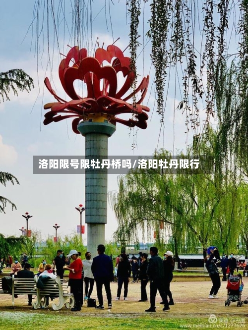 洛阳限号限牡丹桥吗/洛阳牡丹限行
