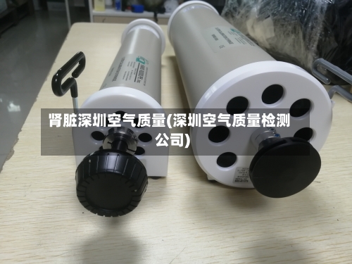 肾脏深圳空气质量(深圳空气质量检测公司)-第3张图片