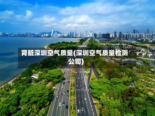 肾脏深圳空气质量(深圳空气质量检测公司)