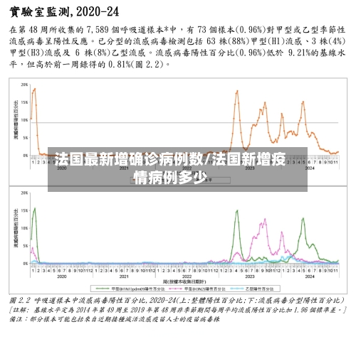 法国最新增确诊病例数/法国新增疫情病例多少-第2张图片