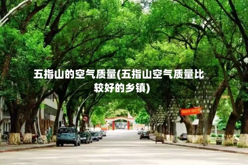 五指山的空气质量(五指山空气质量比较好的乡镇)-第3张图片