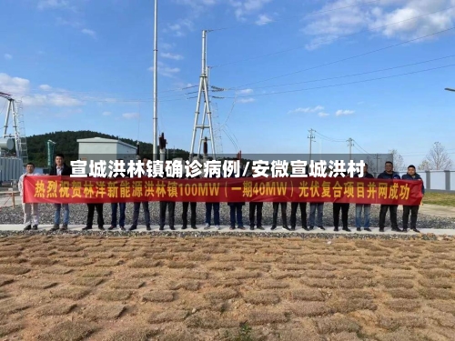 宣城洪林镇确诊病例/安微宣城洪村-第2张图片