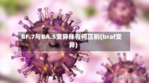 BF.7与BA.5变异株有何区别(braf变异)-第2张图片