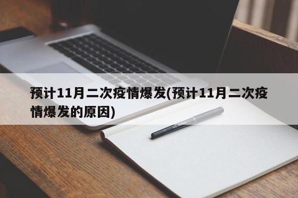 预计11月二次疫情爆发(预计11月二次疫情爆发的原因)