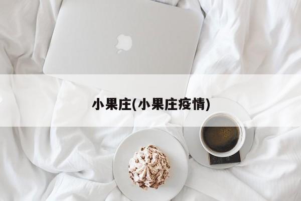 小果庄(小果庄疫情)