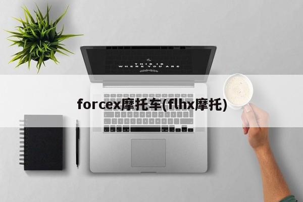forcex摩托车(flhx摩托)