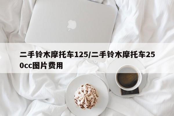 二手铃木摩托车125/二手铃木摩托车250cc图片费用